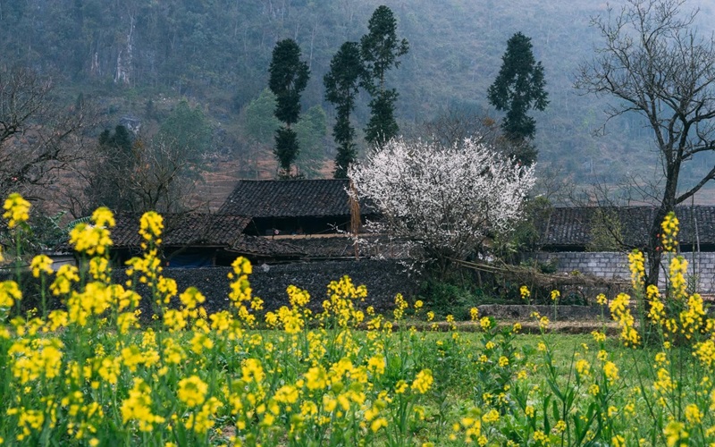 Tour Hà Giang 3 ngày 2 đêm