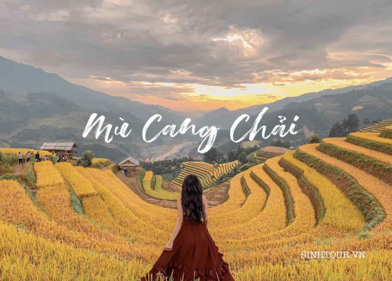 Tour Mù Cang Chải 2 ngày 1 đêm