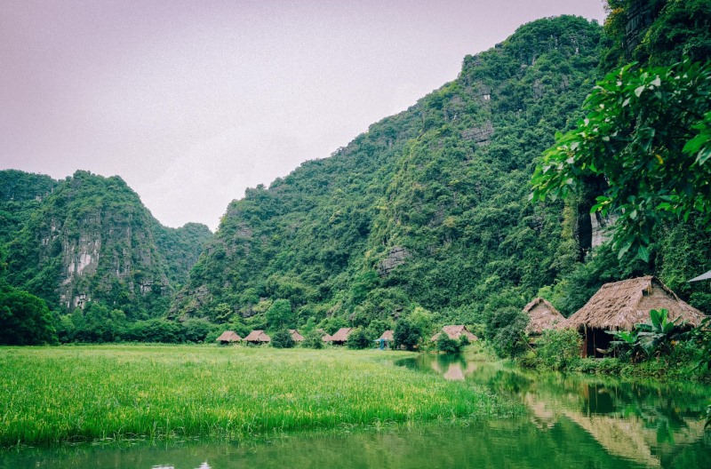 Sparrow’s Song Homestay Ninh Bình