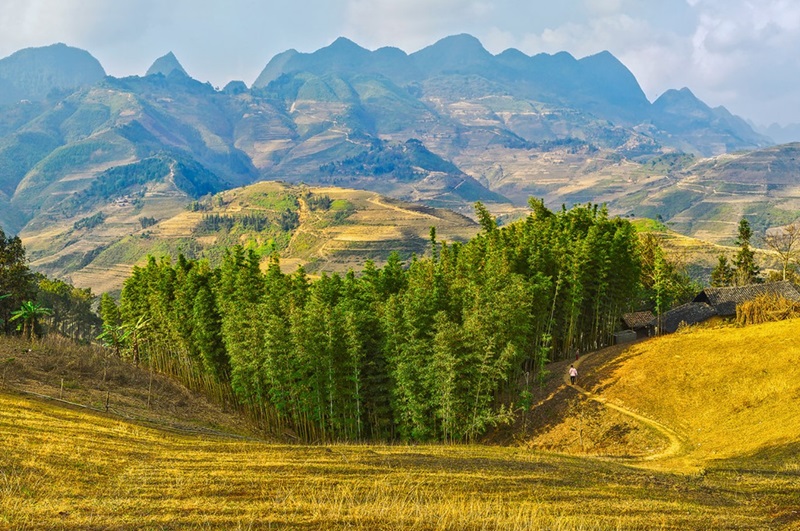 Thảo nguyên Lao và Chải