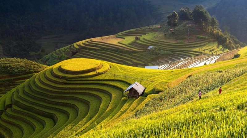 Hồ Thầu đẹp bất kể thời điểm nào, dù có ở trong mùa nước đổ Hà Giang hay không