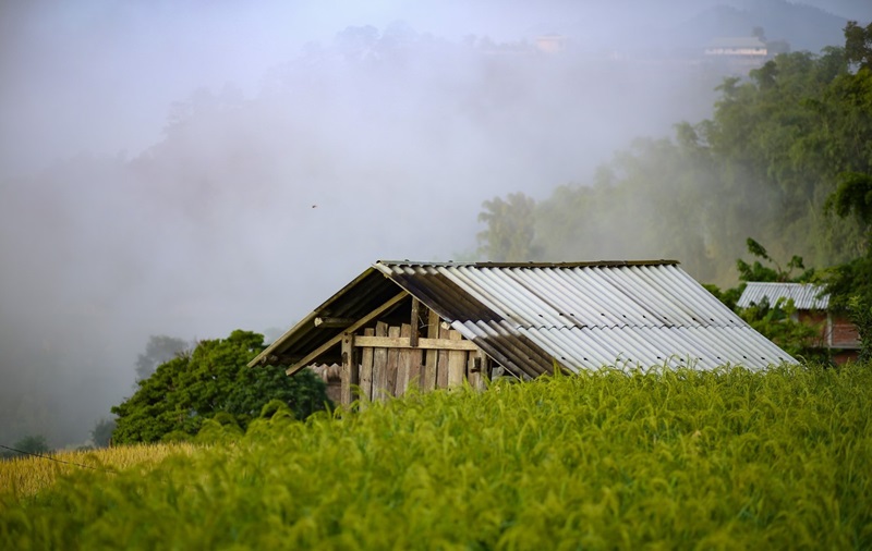 Bản Phùng Hà Giang sau khi mùa nước đổ đi qua