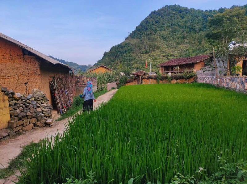 Thảo nguyên Xín Mần hiện lên đầy yên bình