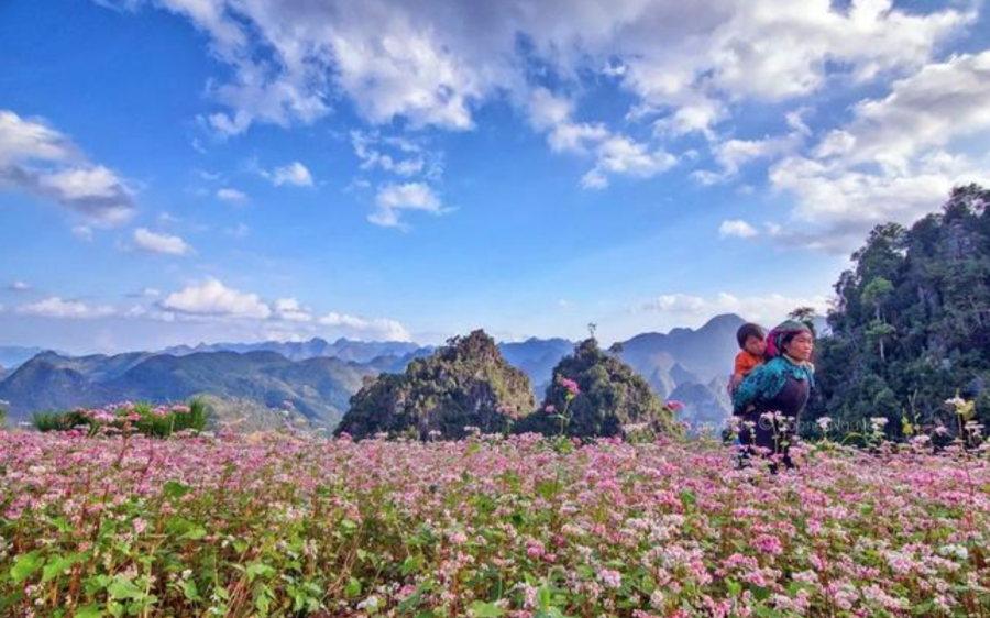 Tour Hà Giang Du Già 3 ngày 4 đêm