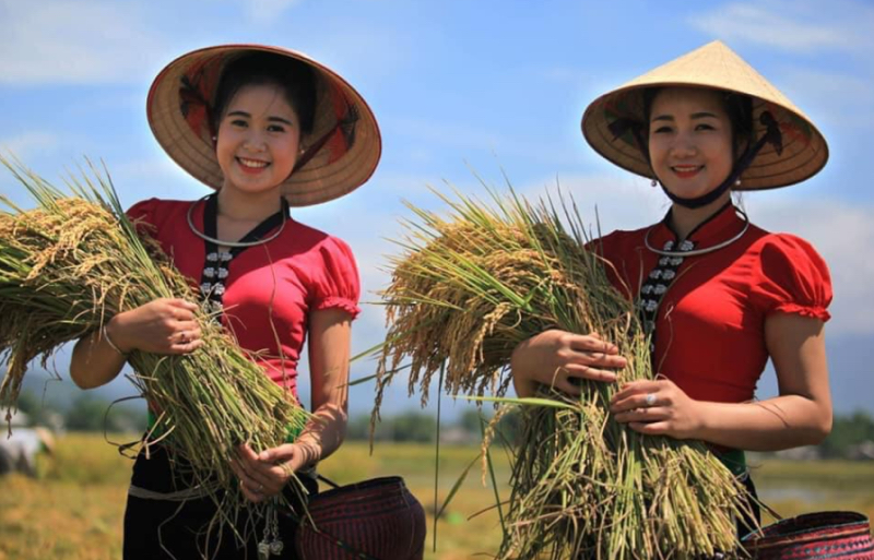 Tour Mù Cang Chải 2 ngày 1 đêm