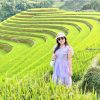 Tour Mù Cang Chải 2 ngày 1 đêm