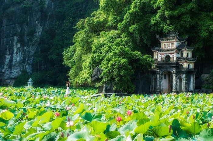 Top 15 địa điểm du lịch Ninh Bình đẹp nhất 2023
