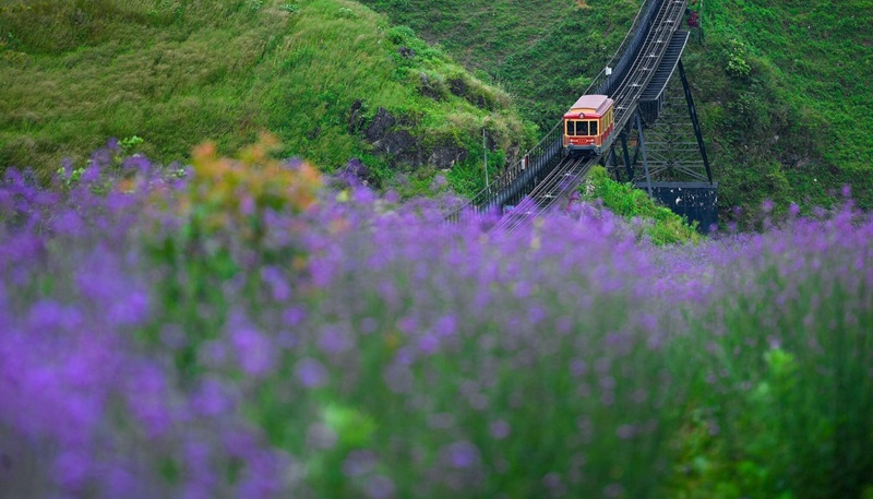 Ngồi xe lửa chiêm ngưỡng thung lũng Mường Hoa