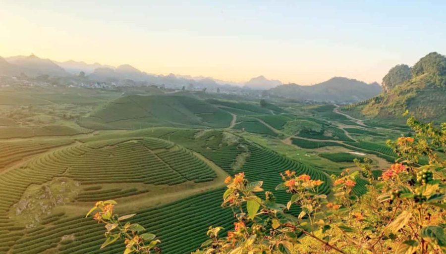 Tour Mộc Châu 1 ngày