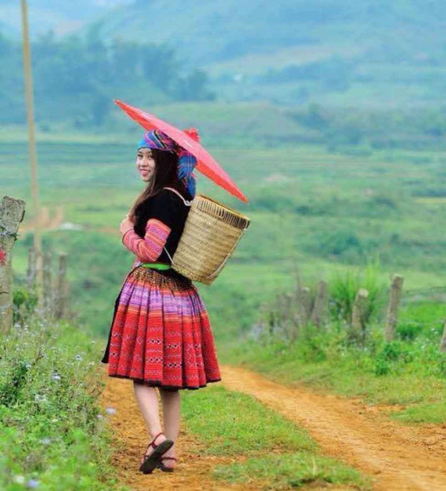 Tour Mộc Châu 1 ngày