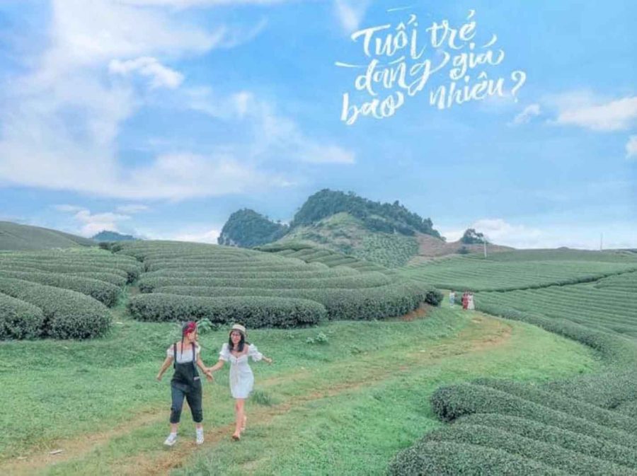 Tour Mộc Châu 1 ngày