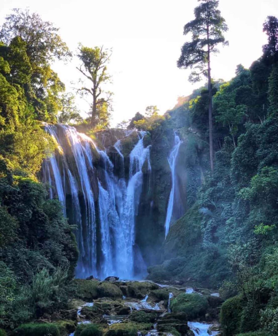 Tour Mộc Châu 1 ngày