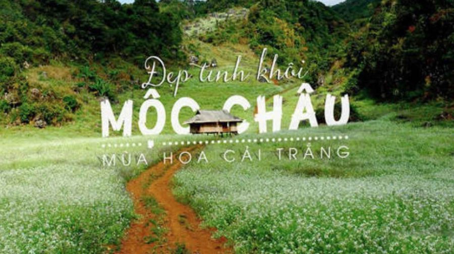 Tour Mộc Châu 1 ngày