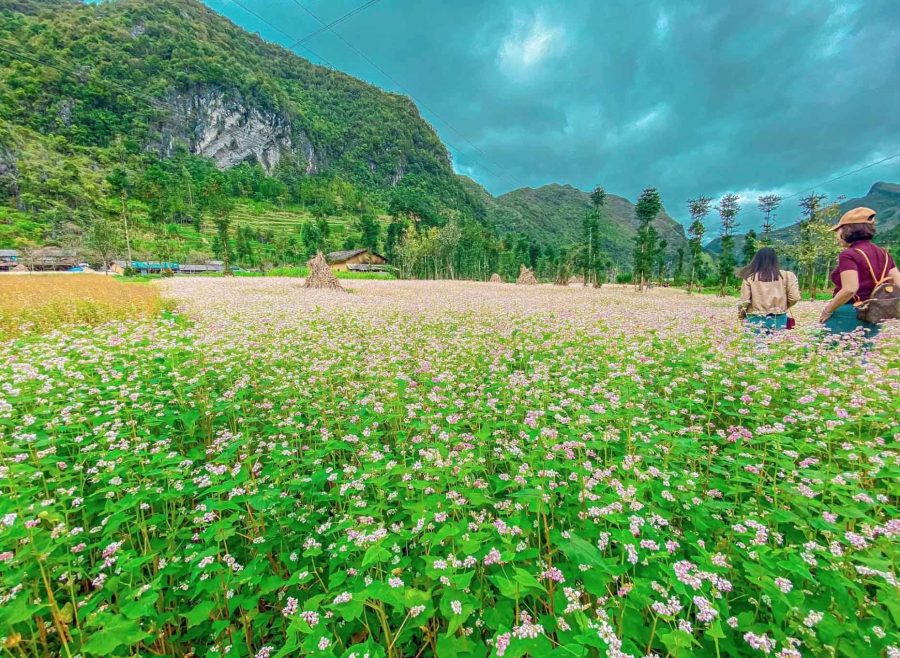 Tour Đông Bắc 6 ngày 5 đêm