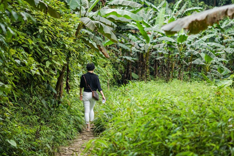 Tour Hà Nội – Vườn Quốc Gia Cúc Phương