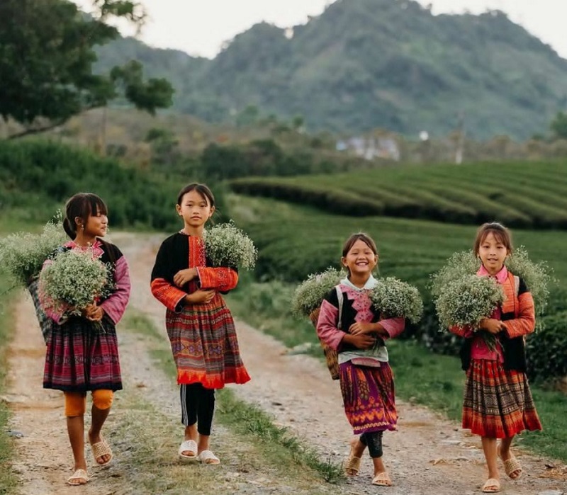 Du lịch Mộc Châu tháng 10 1