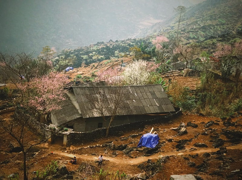 Cao Nguyên Đá Đồng Văn 12