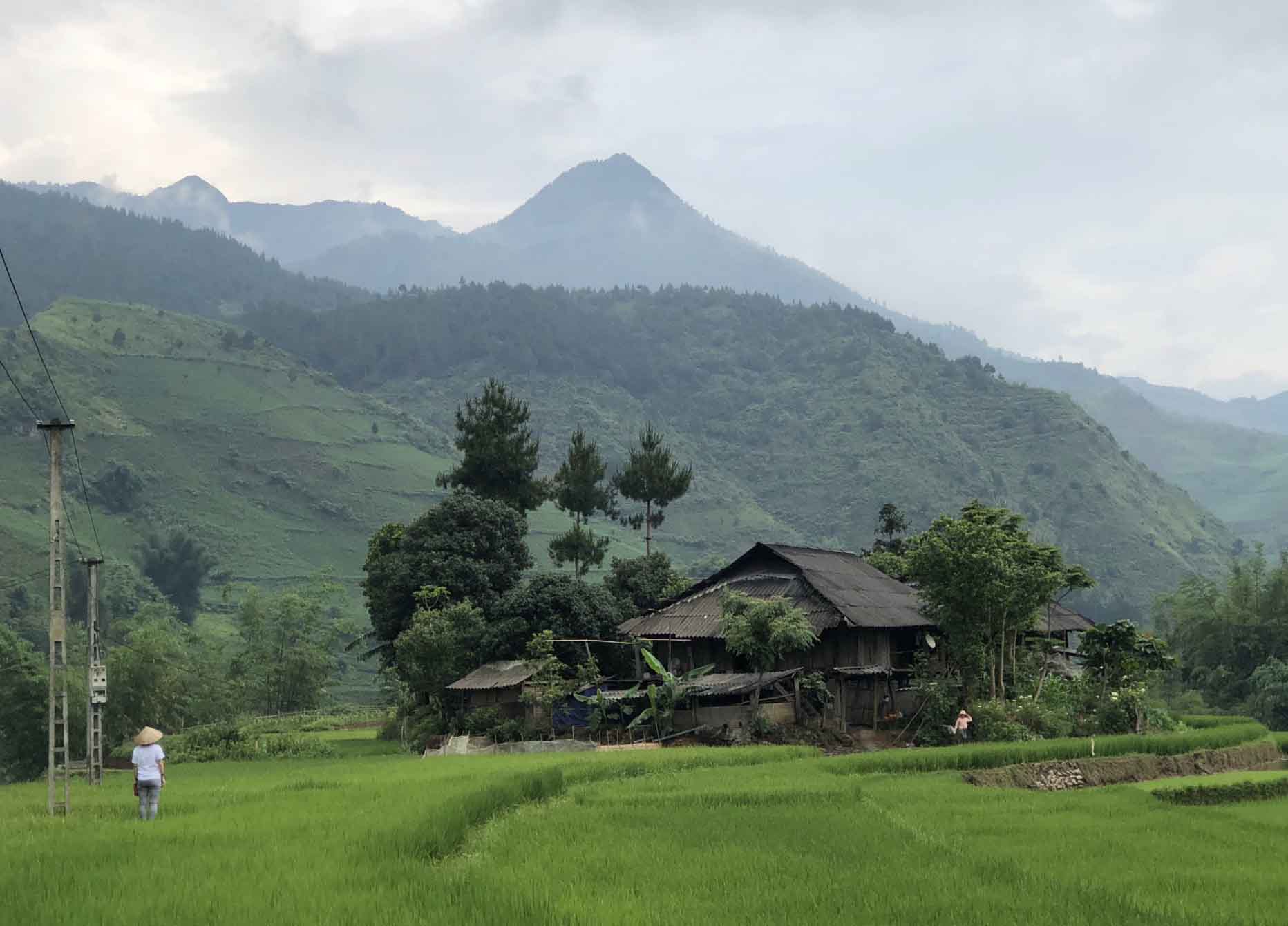 rice-terraces-trekking-in-mu-cang-chai-3-days-2-nights