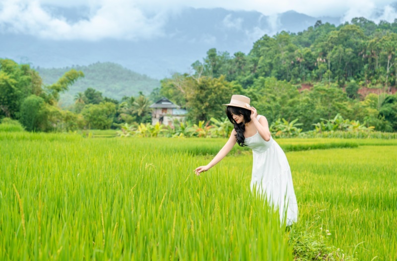 Bản Pon Coong