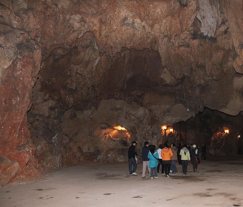 Hệ thống động trong hang Mỏ Luông