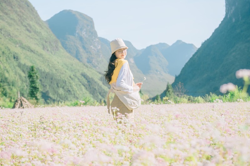 Du lịch Hà Giang mùa nào đẹp nhất? Hãy thử mùa hoa tam giác mạch vào tháng 4 nhé
