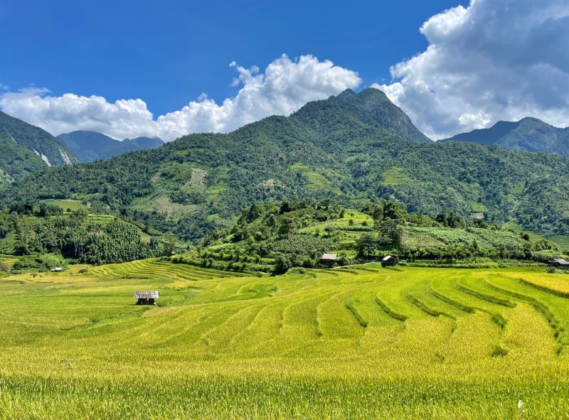 Tham quan các địa điểm