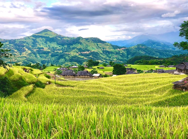 Hoàng Su Phì Hà Giang có nhiều ruộng bậc thang