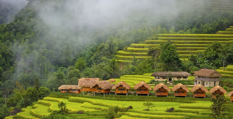 Hoàng Su Phì Lodge