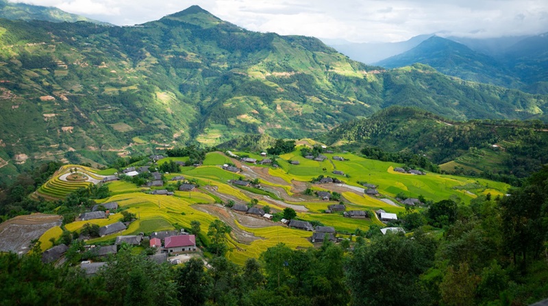 Ruộng bậc thang bản Phùng