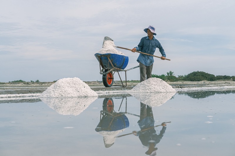 Bình Thuận gắn bó với nghề làm muối