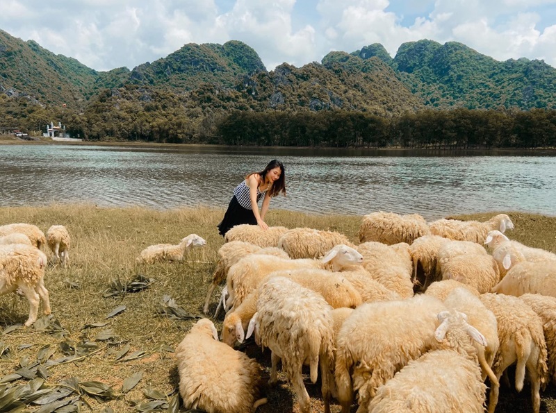 Địa điểm du lịch Ninh Bình bạn không thể bỏ qua Đồi Cừu Gia Hưng
