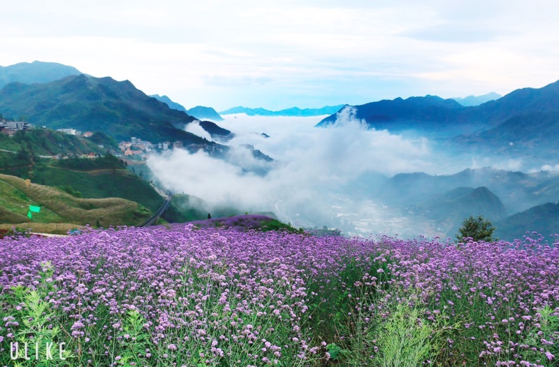 Thung lũng Mường Hoa