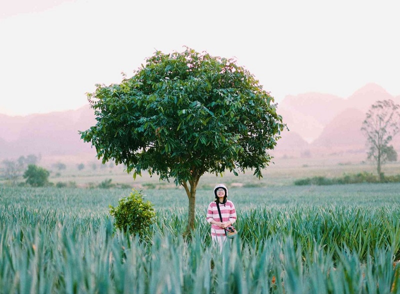 điểm tham quan Ninh Bình miễn phí