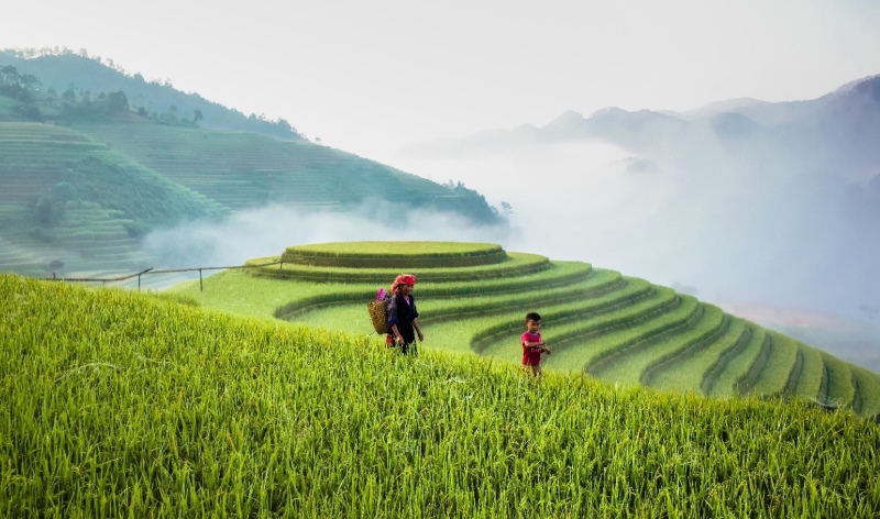 Du lịch Yên Bái mùa nào đẹp - Đồi Mâm Xôi 